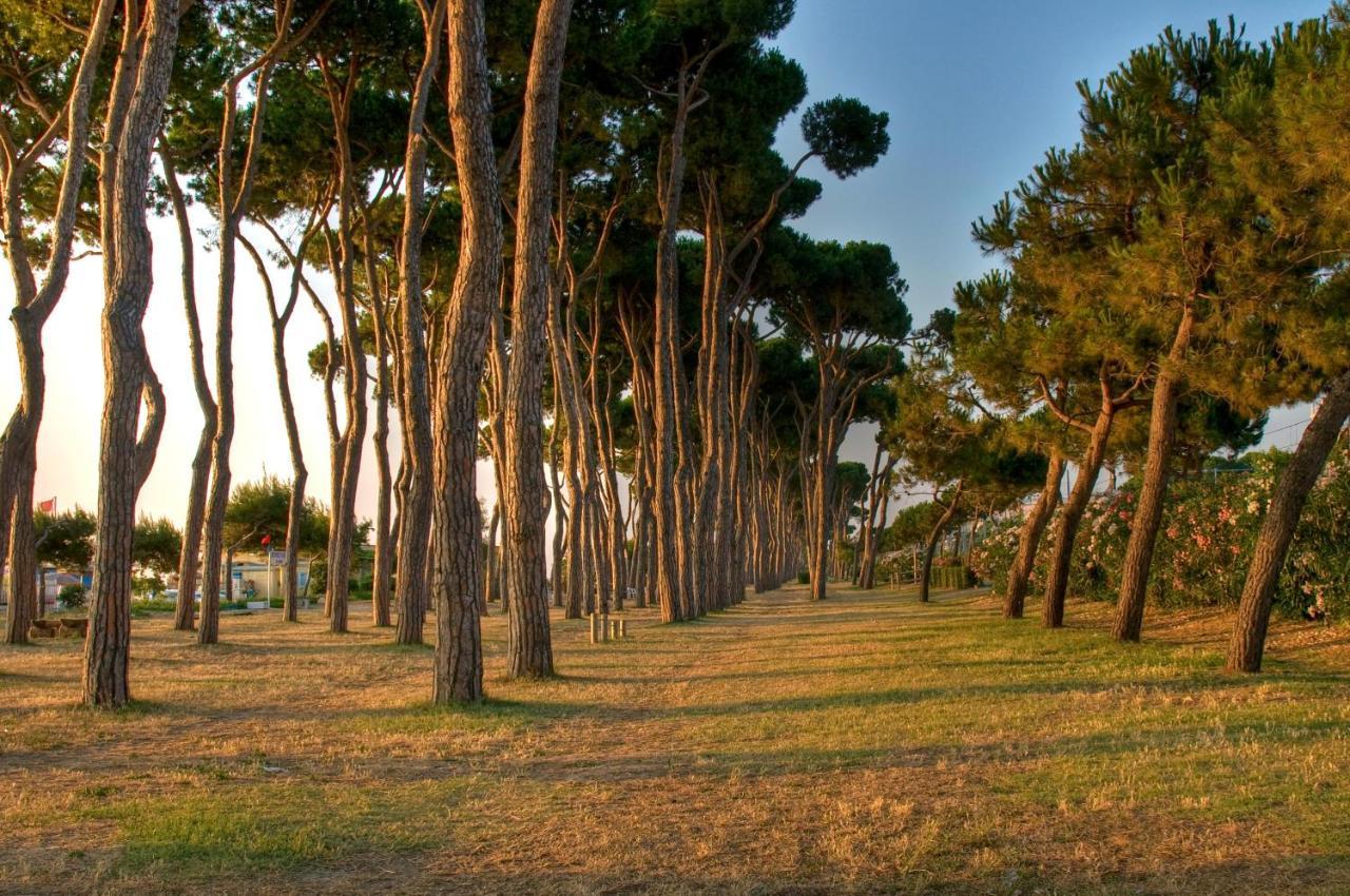 بينيتو Green Bay Village المظهر الخارجي الصورة